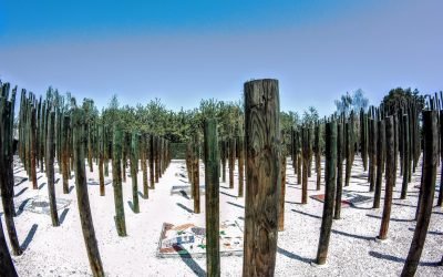 Memorial Paine en Las Voces del Museo